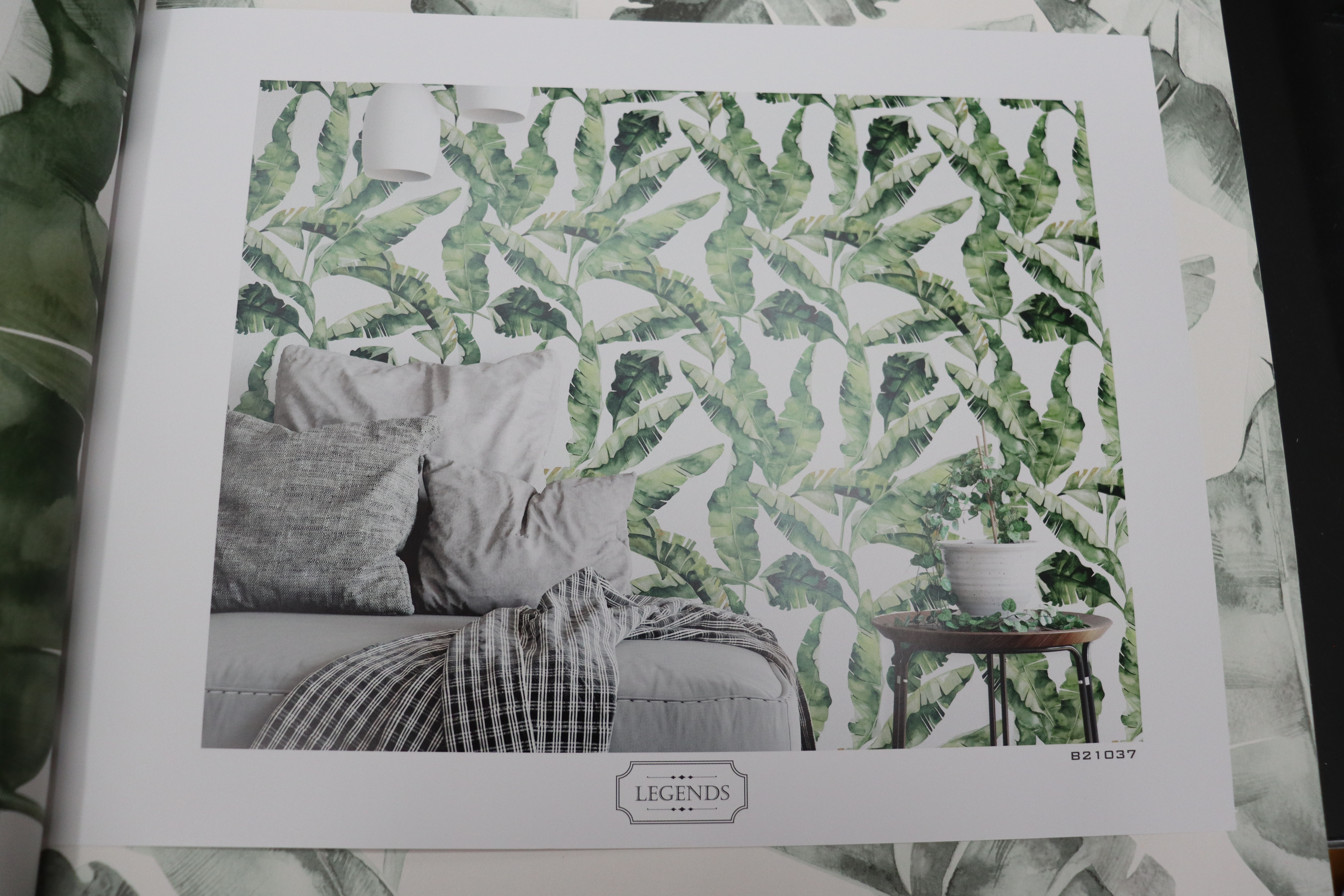 Variedade de Papel Parede